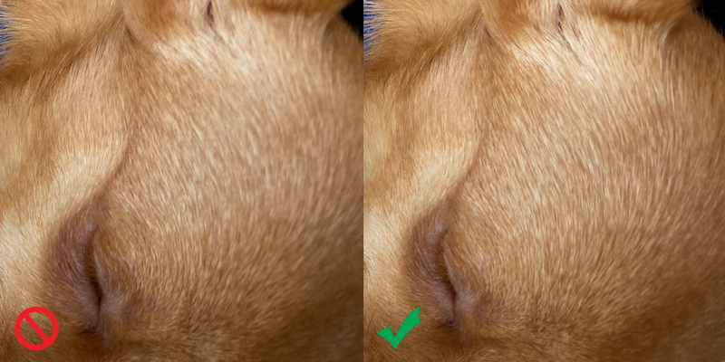 Deep Fusion off (left), Deep Fusion on (right)